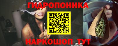 сатива Нарткала