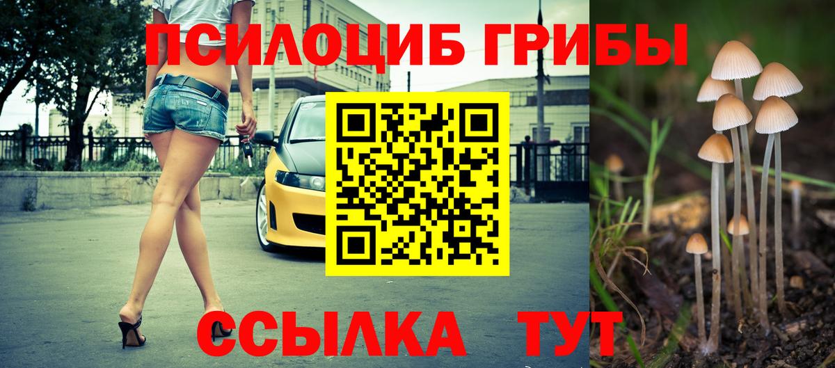 что такое наркотик  Вход с VPN  Тавда  Галлюциногенные грибы ЛСД 
